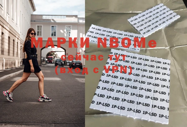 прущие грибы Волоколамск