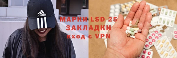 прущие грибы Волоколамск