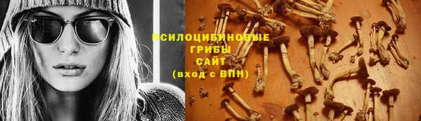 прущие грибы Волоколамск